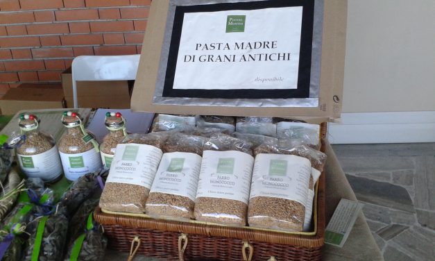 Podere Montisi, coltivazioni biologiche e agriturismo a Travalle, alle porte di Firenze