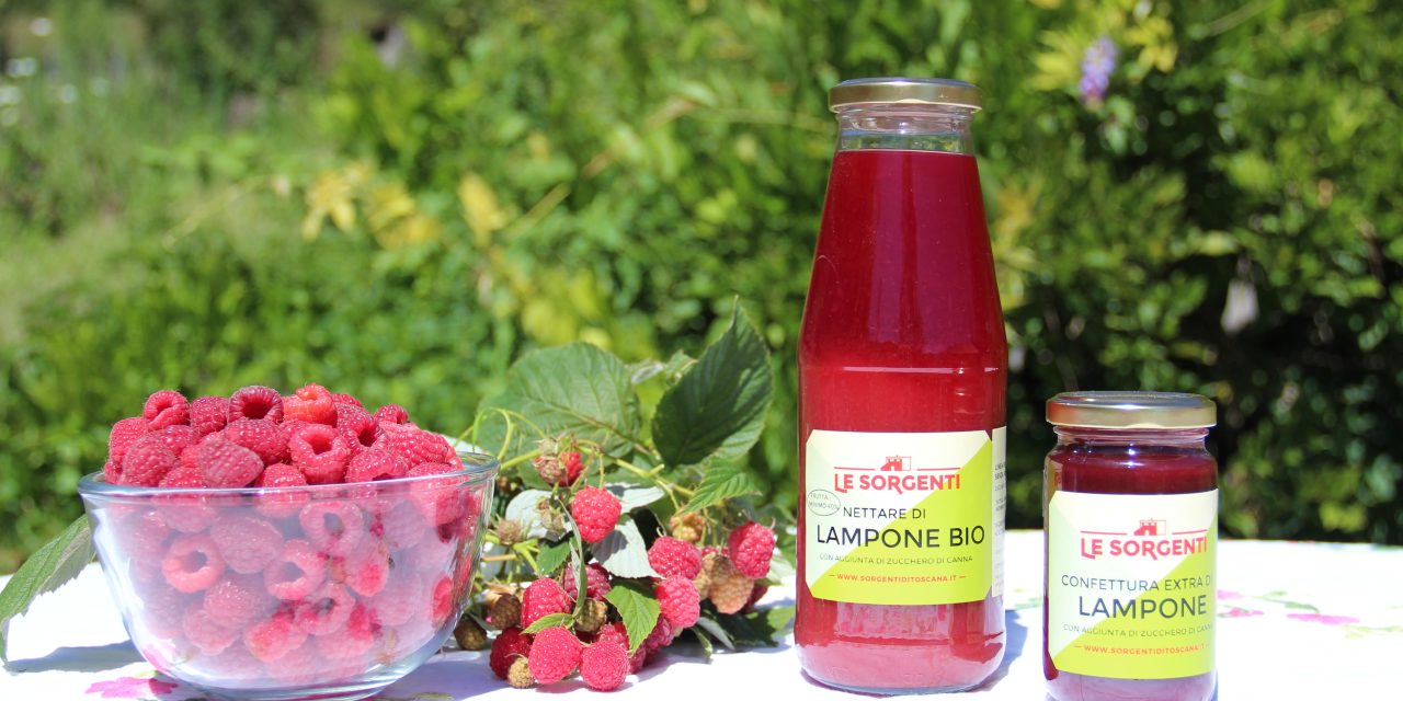 Le Sorgenti, da un territorio incontaminato i frutti del bosco