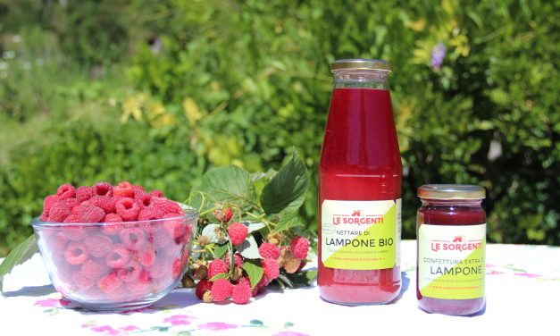 Le Sorgenti, da un territorio incontaminato i frutti del bosco