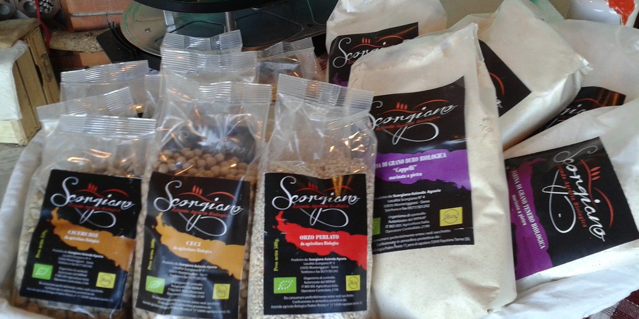 Scorgiano: allevamento, agriturismo, fattoria didattica nel cuore della Toscana