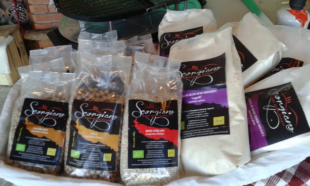 Scorgiano: allevamento, agriturismo, fattoria didattica nel cuore della Toscana