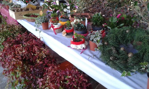 Antonello Lavinotti, prodotti florovivaistici da Pescia