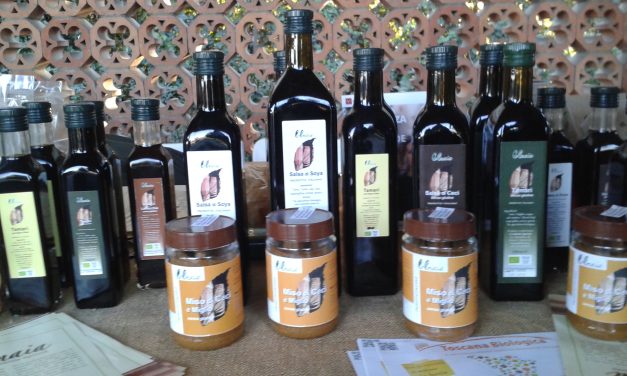 Dalla tradizione giapponese a Lolmaia: miso e salse