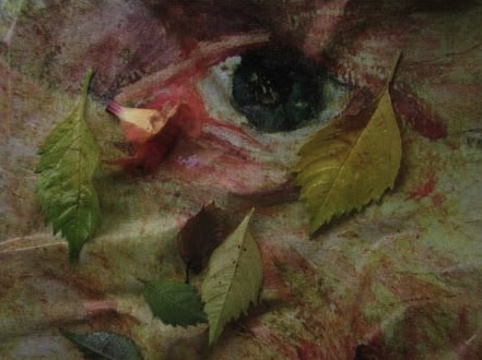 Il “Girasole” di Alfredo Romano a Euroflora 2018