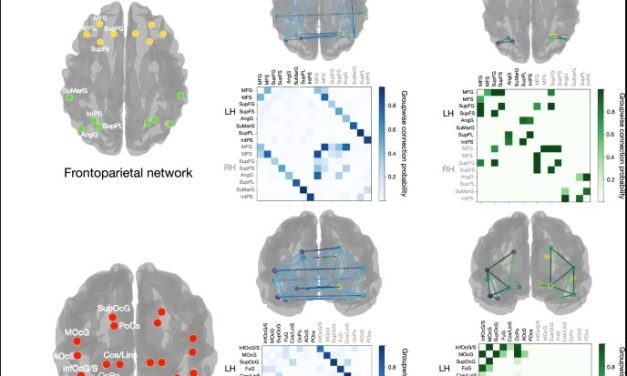 Le basi della musicalità nella connessione delle reti cerebrali