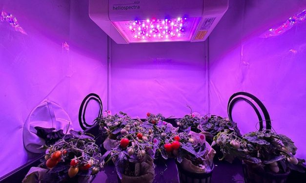 ENEA allo IAC con orti hi-tech e facility uniche per prepararsi a Luna e Marte