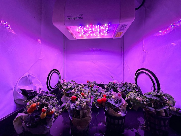 ENEA allo IAC con orti hi-tech e facility uniche per prepararsi a Luna e Marte