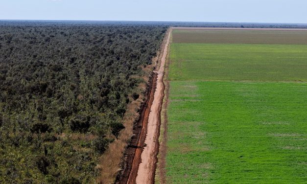 16 OTTOBRE – GIORNATA MONDIALE DELL’ALIMENTAZIONE. IL 90% DELLA DEFORESTAZIONE È CAUSATO DALL’ALIMENTAZIONE UMANA
