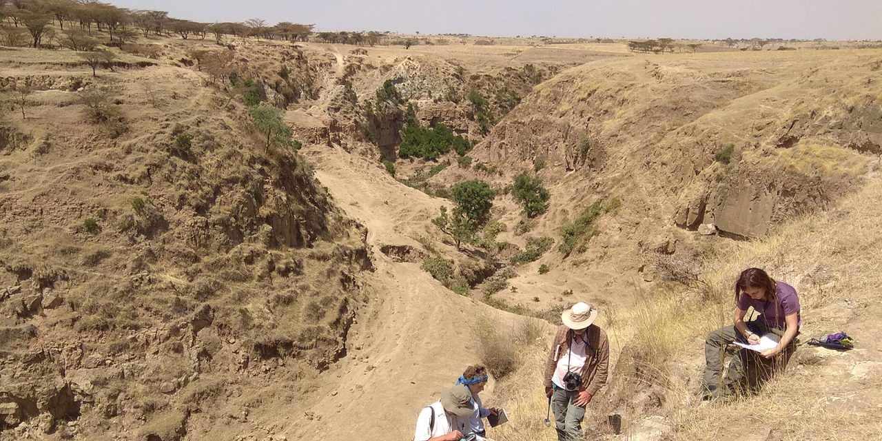 Evoluzione degli ominidi e impatto ambientale: il ruolo dell’attività vulcanica della Rift Valley