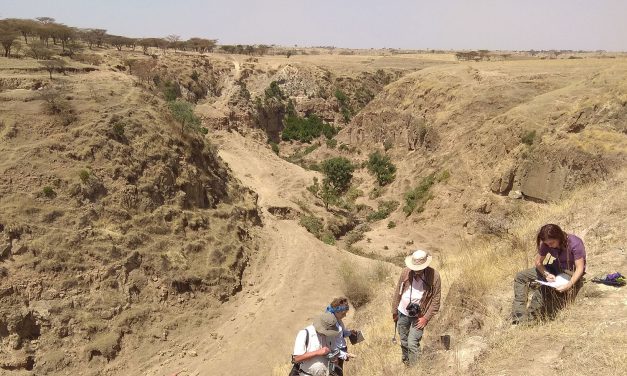 Evoluzione degli ominidi e impatto ambientale: il ruolo dell’attività vulcanica della Rift Valley