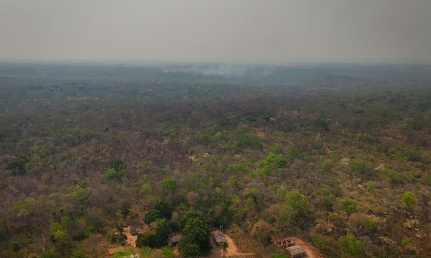 Il 10 novembre, giornata nazionale dell’agricoltura: il rapporto del WWF.