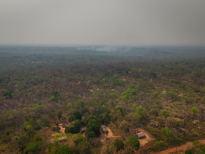Il 10 novembre, giornata nazionale dell’agricoltura: il rapporto del WWF.