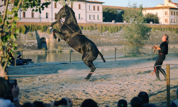 L’UOMO E IL CAVALLO, ALLEANZA SENZA TEMPO