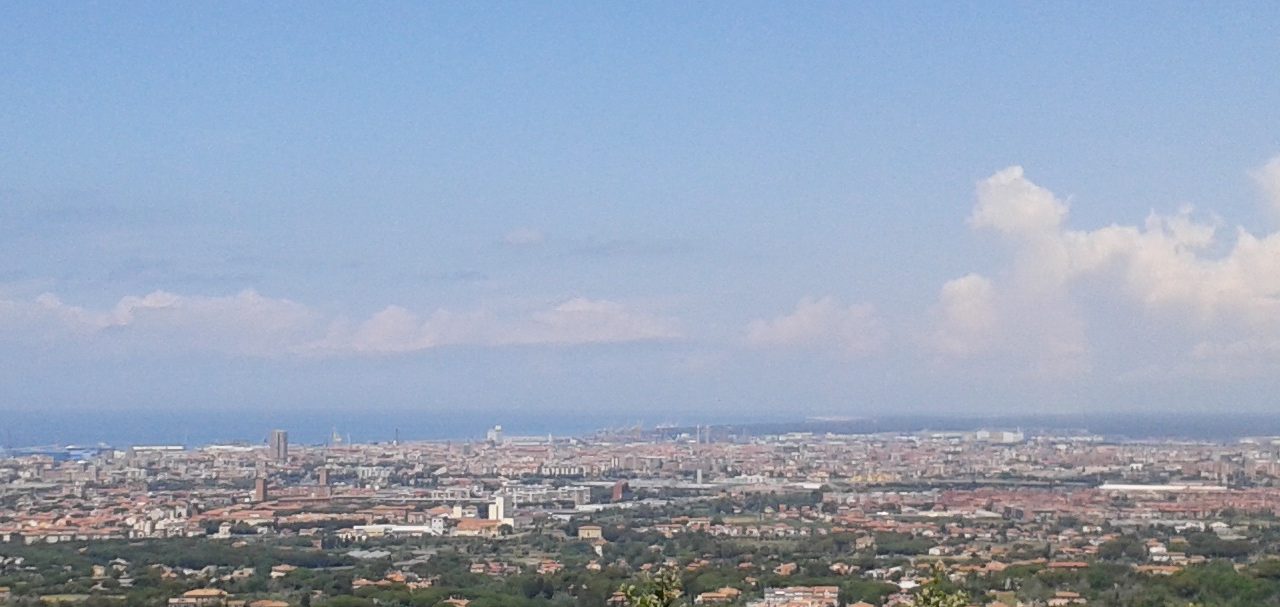 Sostenibilità e trasparenza delle filiere ittiche: il progetto dei consumatori