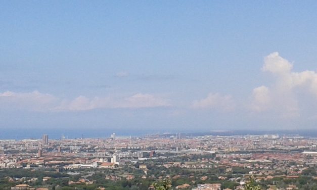 Sostenibilità e trasparenza delle filiere ittiche: il progetto dei consumatori